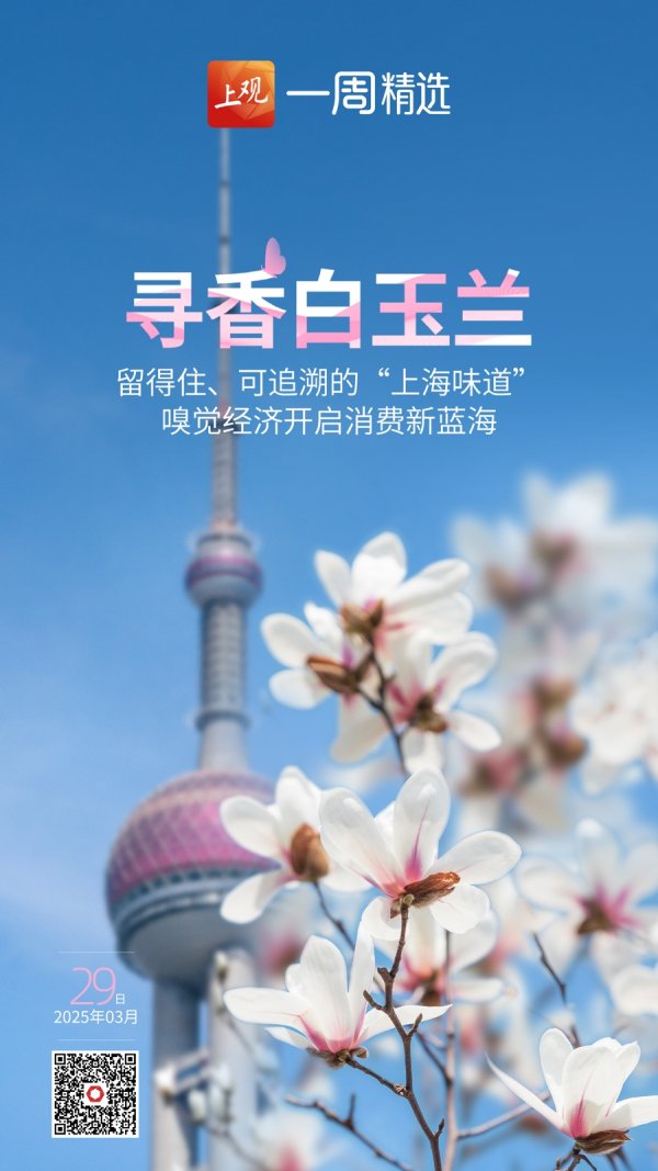 宏益配资 就是这么好闻！可追溯的白玉兰香，留得住、传得远的“上海味道”