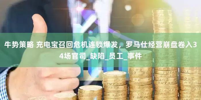 牛势策略 充电宝召回危机连锁爆发，罗马仕经营崩盘卷入34场官司_缺陷_员工_事件