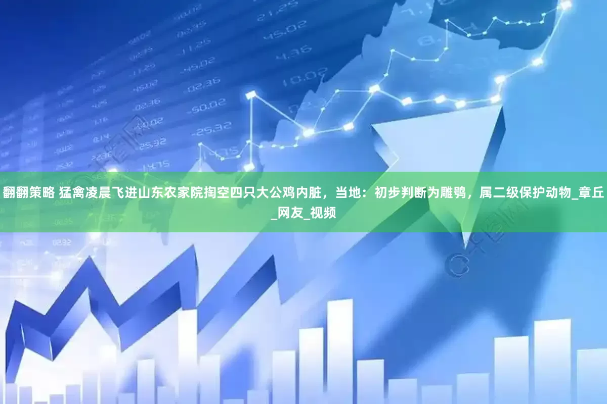 翻翻策略 猛禽凌晨飞进山东农家院掏空四只大公鸡内脏，当地：初步判断为雕鸮，属二级保护动物_章丘_网友_视频