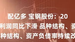 配亿多 宝钢股份：2024年营收利润同比下滑 品种结构、资产负债率持续改善