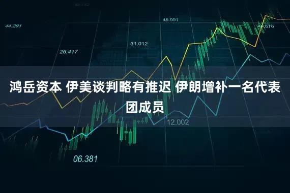 鸿岳资本 伊美谈判略有推迟 伊朗增补一名代表团成员